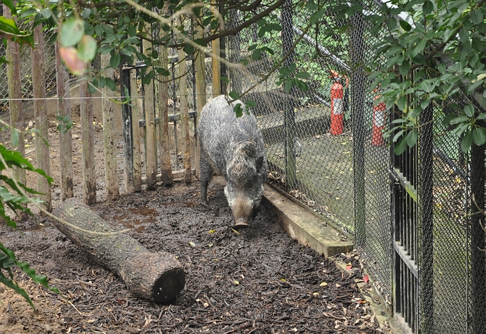 DSC_0573.JPG