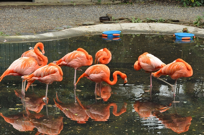 DSC_0578.JPG