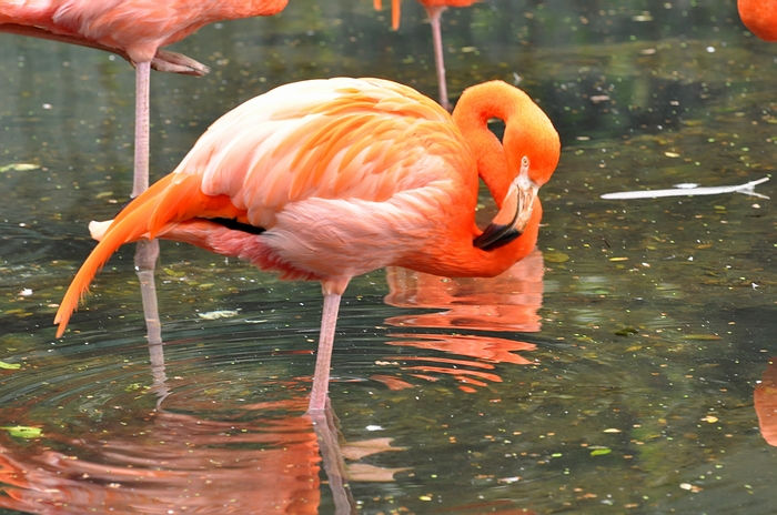 DSC_0583.JPG