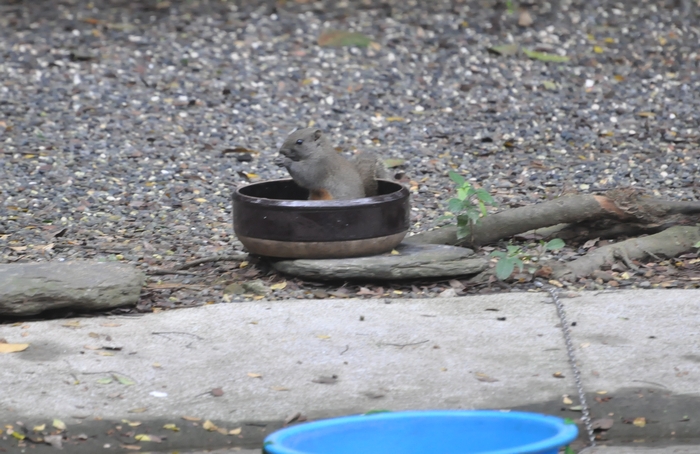 DSC_0589.JPG