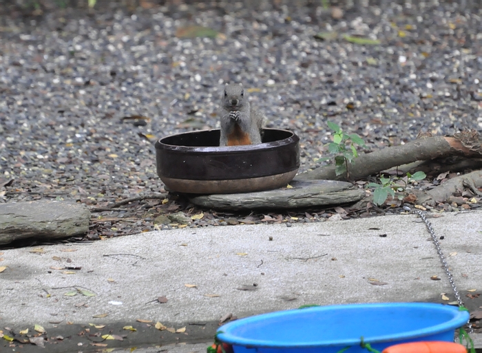 DSC_0586.JPG