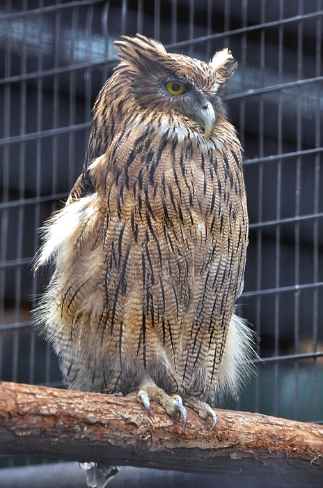 DSC_0634.JPG