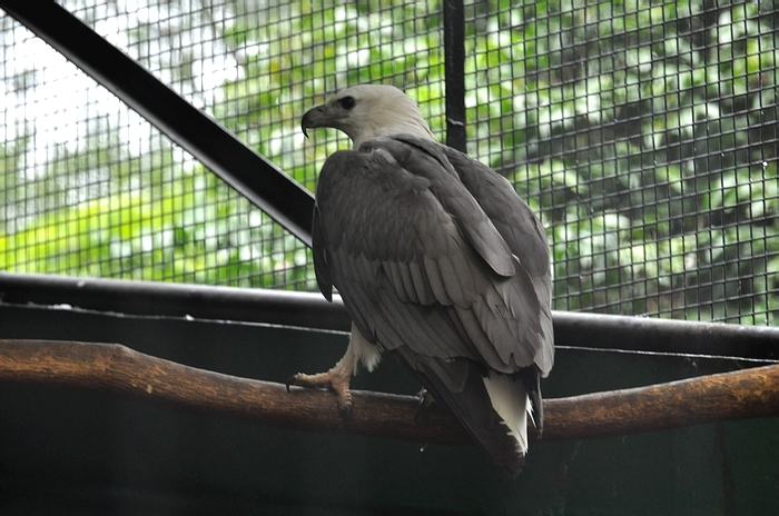 DSC_0635.JPG