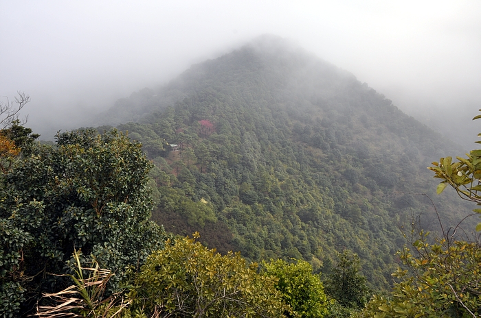 DSC_0743.JPG