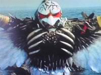 1 成吉思汗禿鷹.jpg