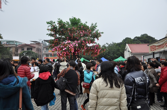 DSC_0839.JPG