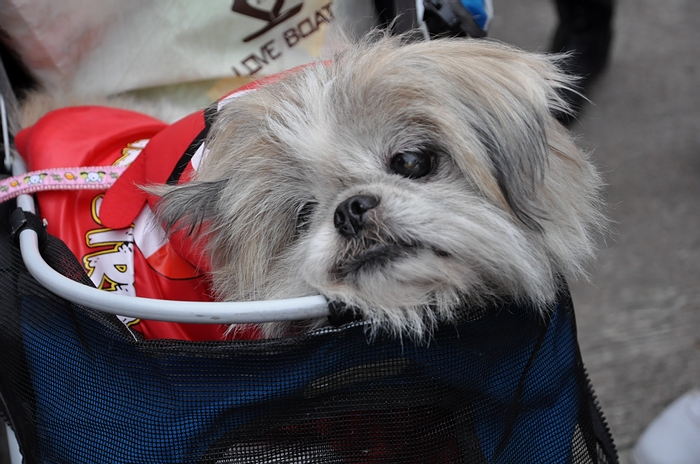 DSC_0864.JPG