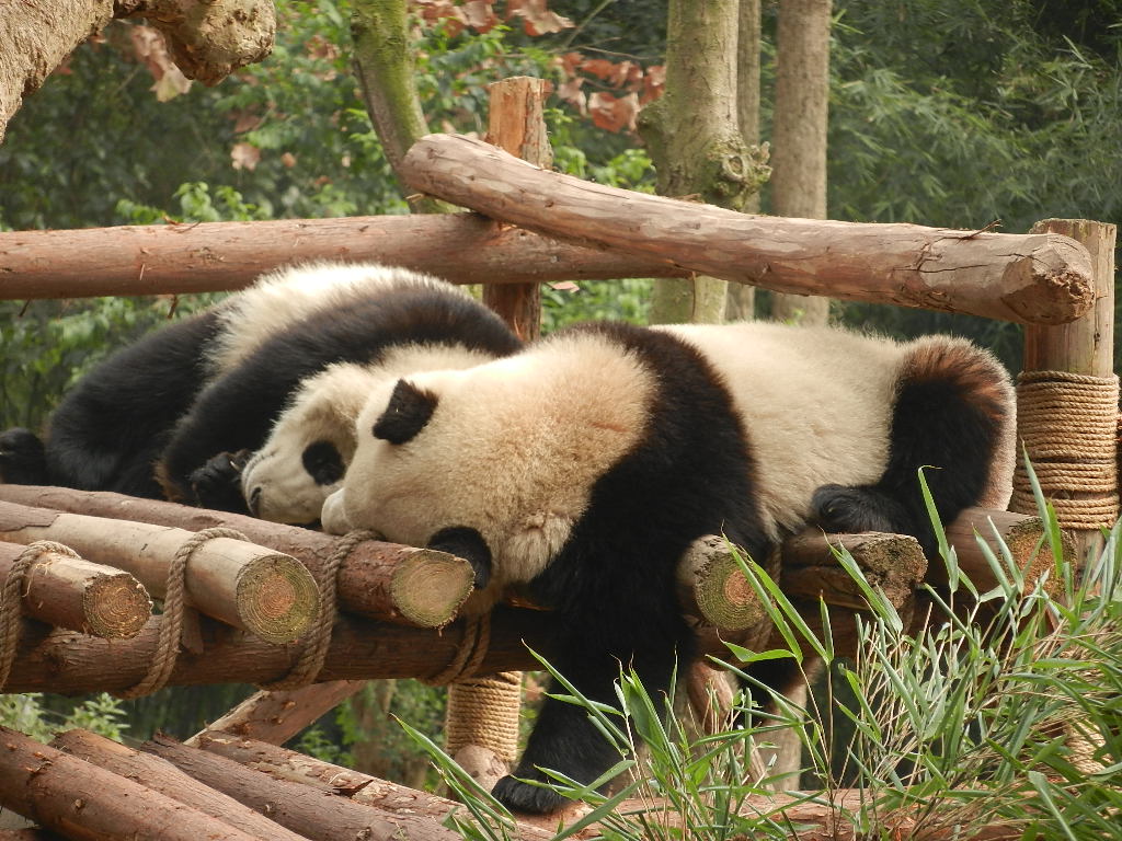 DSCN3998.JPG