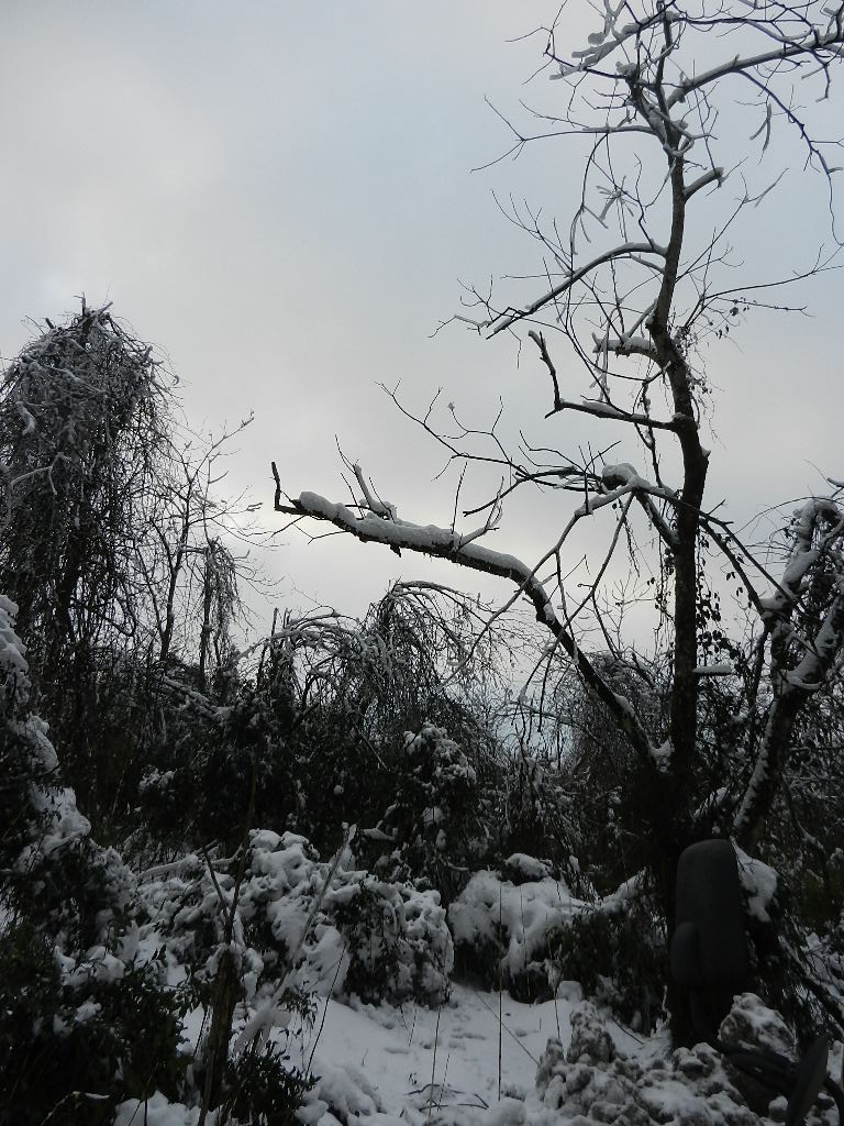 DSCN4946.JPG