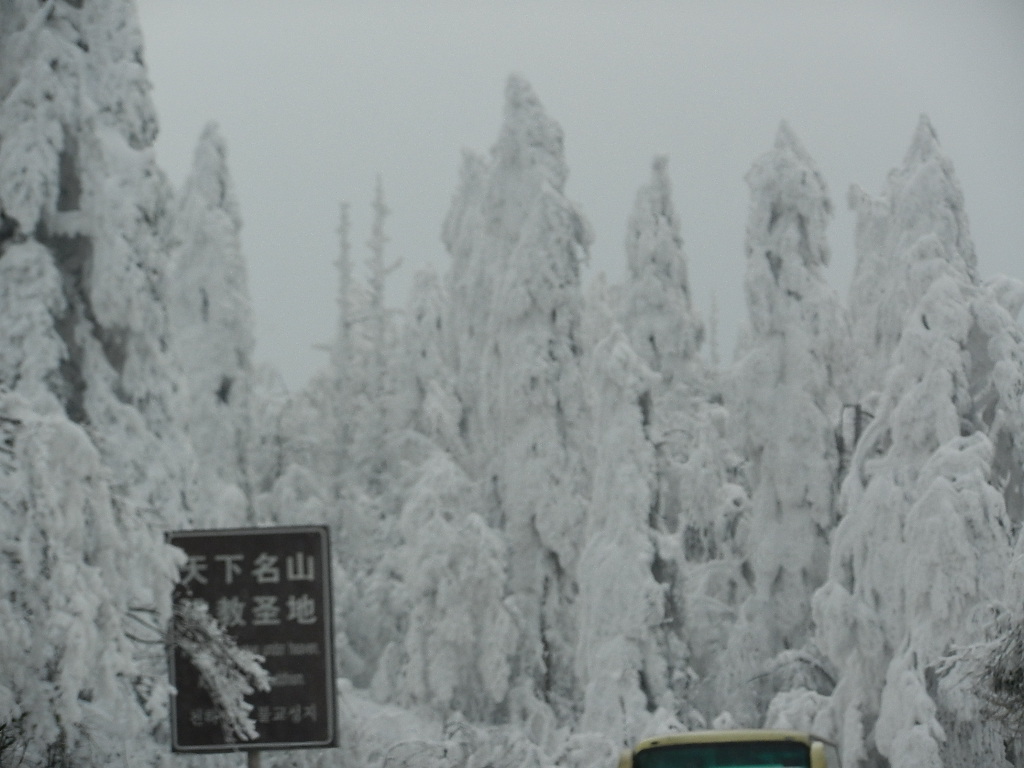 DSCN4964.JPG