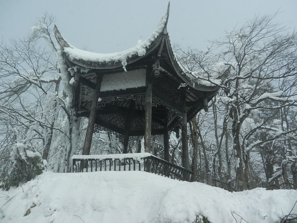 DSCN5172.JPG