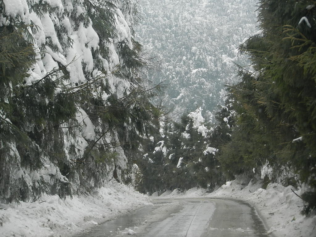 DSCN5225.JPG