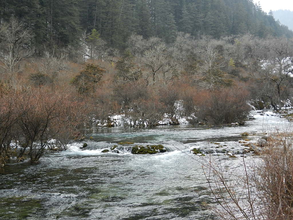 DSCN4385.JPG