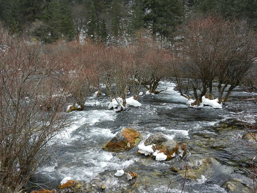 DSCN4391.JPG