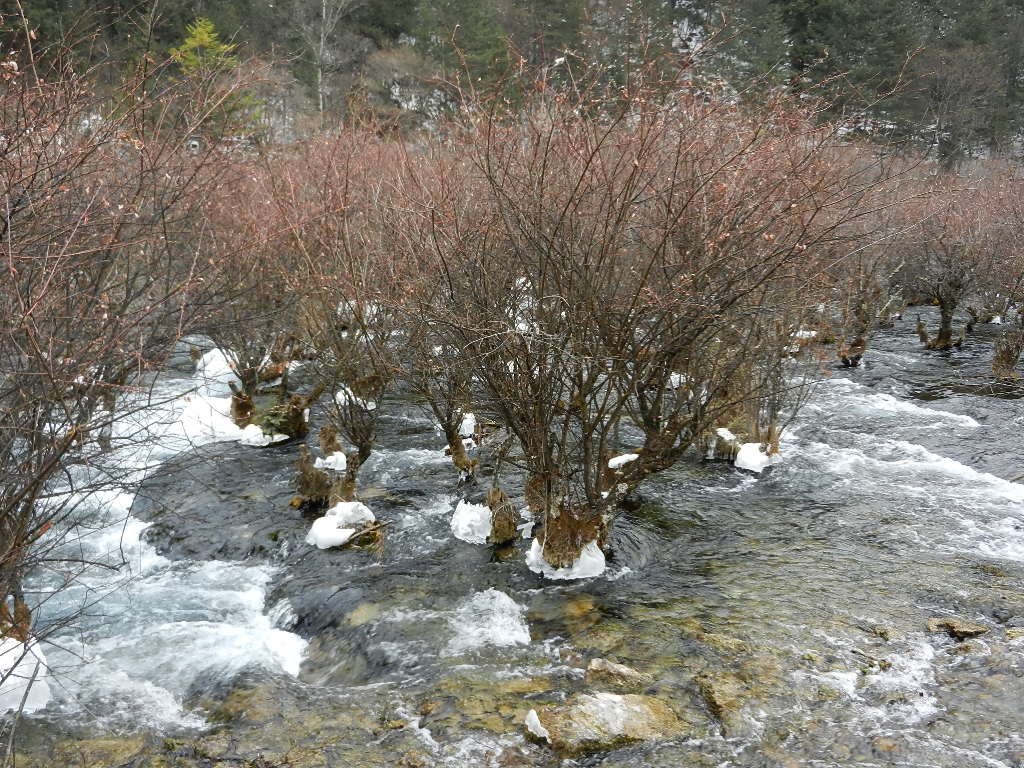 DSCN4397.JPG