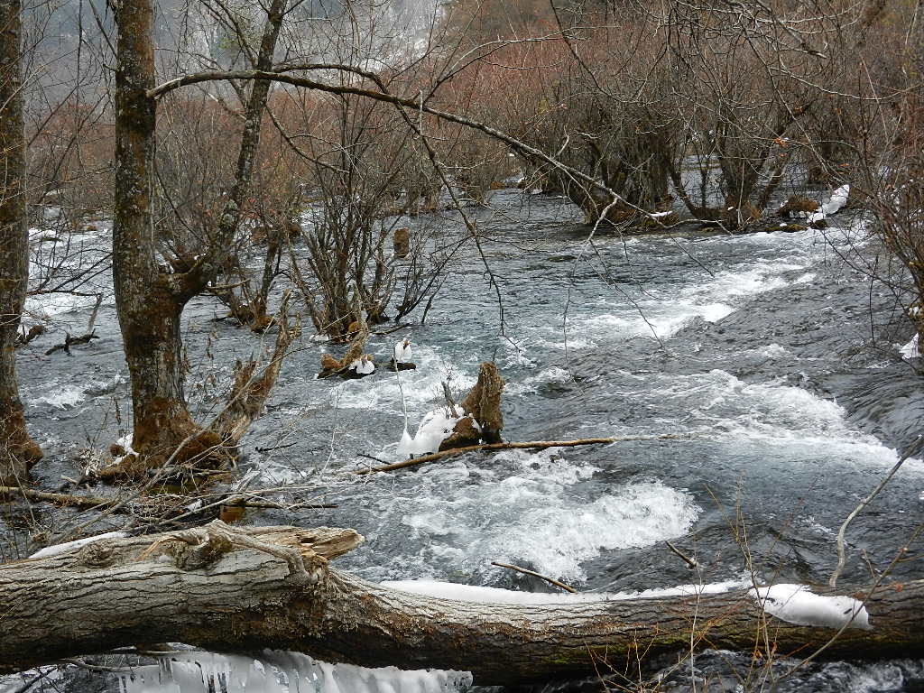 DSCN4401.JPG