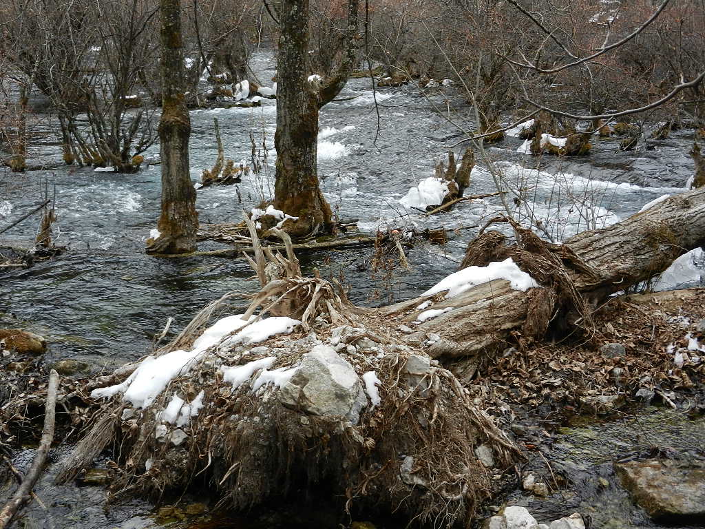 DSCN4404.JPG