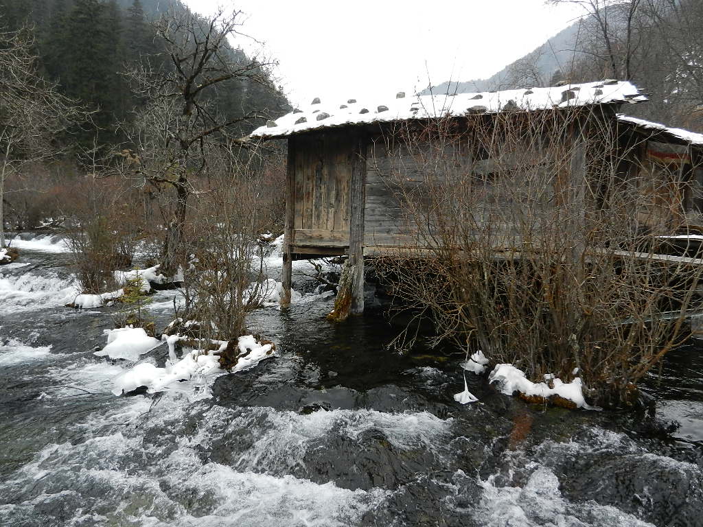 DSCN4409.JPG