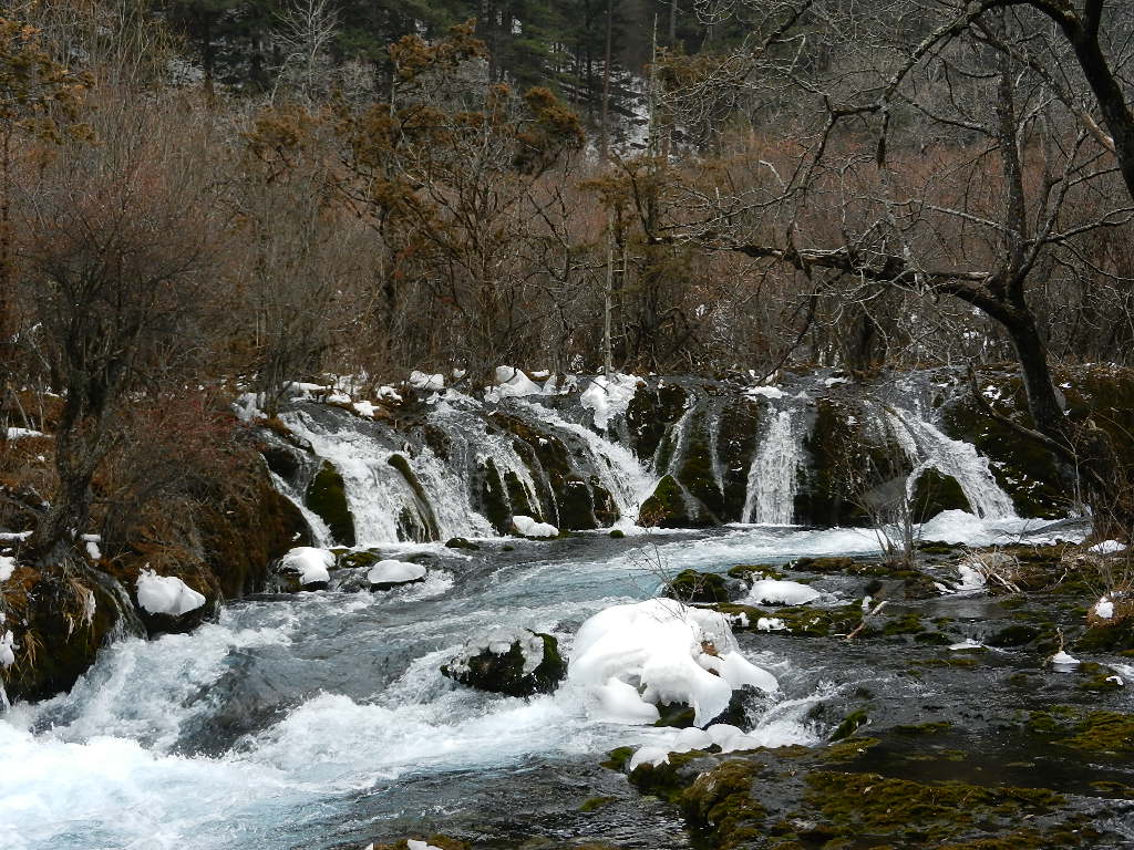 DSCN4382.JPG