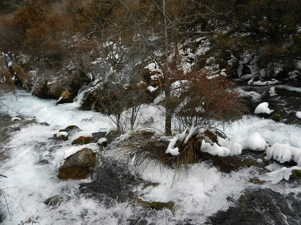 DSCN4371.JPG