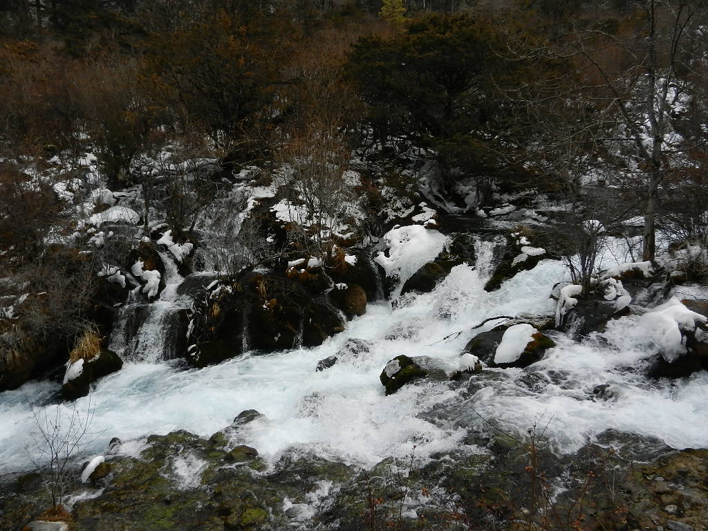 DSCN4374.JPG