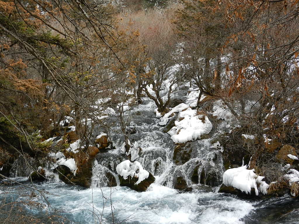DSCN4375.JPG