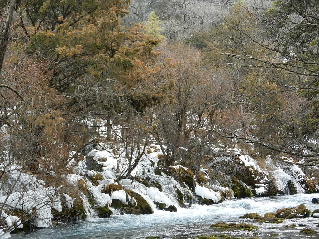 DSCN4378.JPG