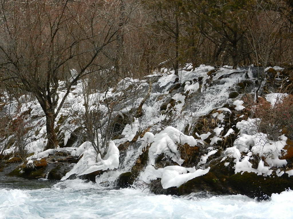 DSCN4379.JPG