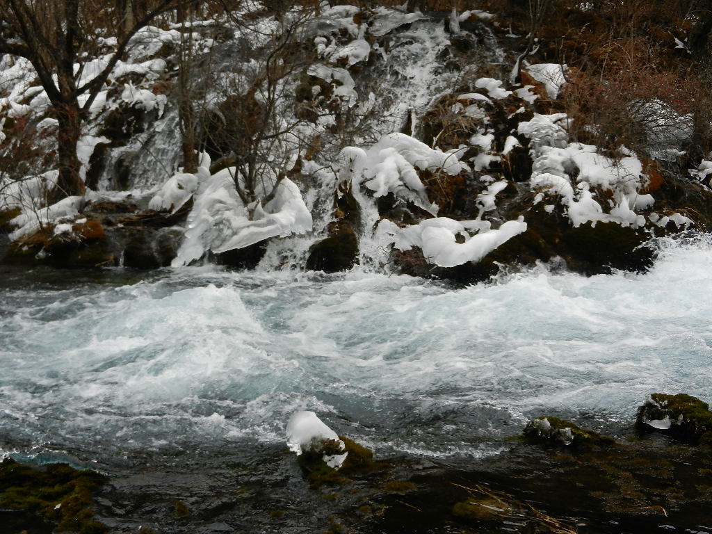DSCN4380.JPG