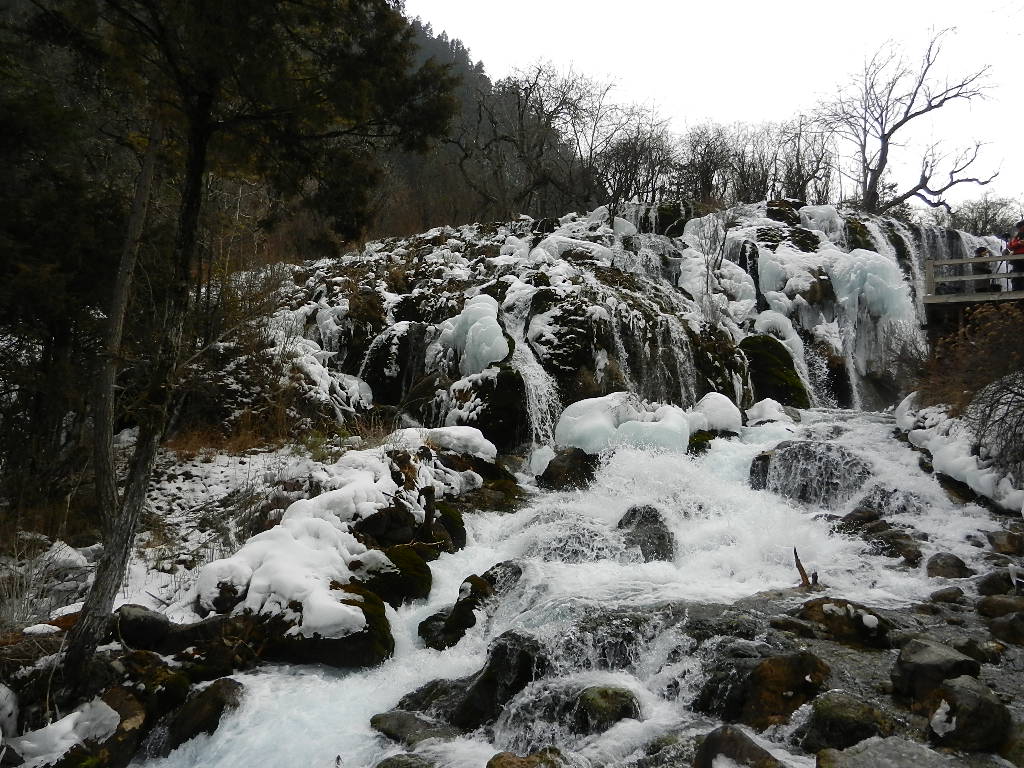 DSCN4362.JPG