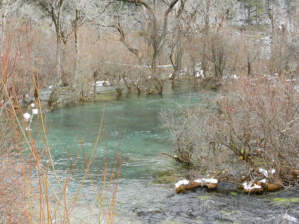 DSCN4333.JPG