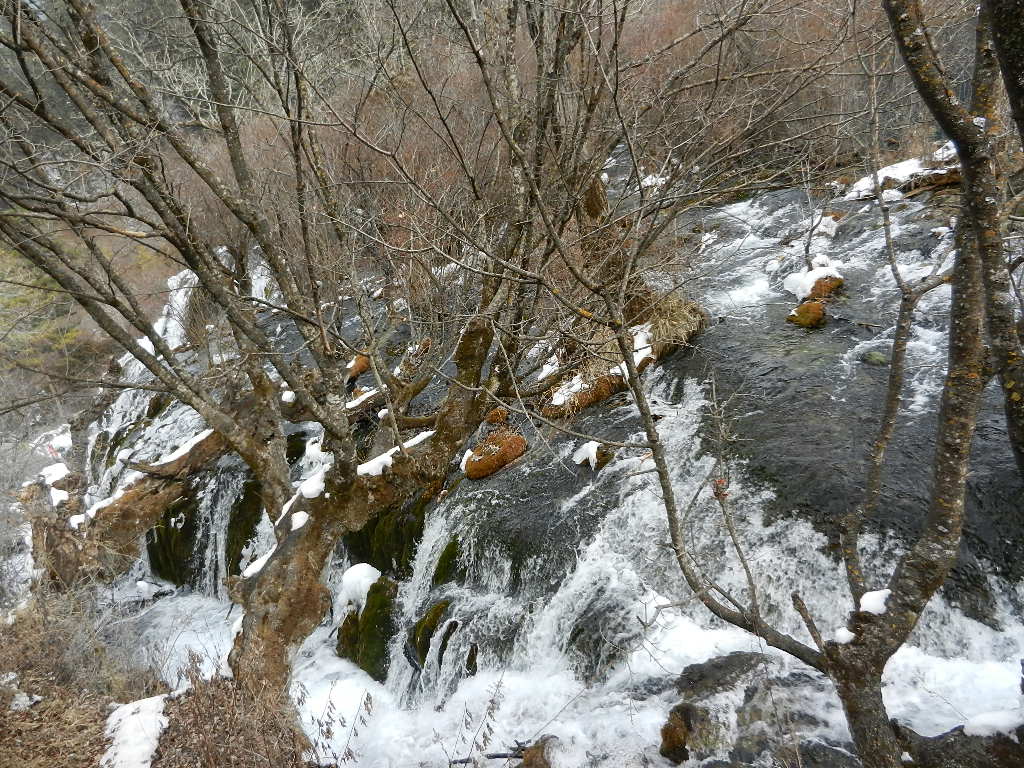 DSCN4335.JPG