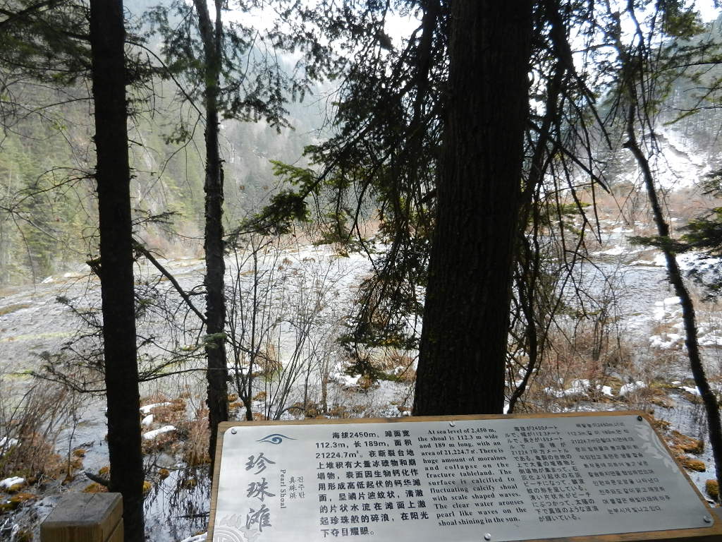 DSCN4687.JPG