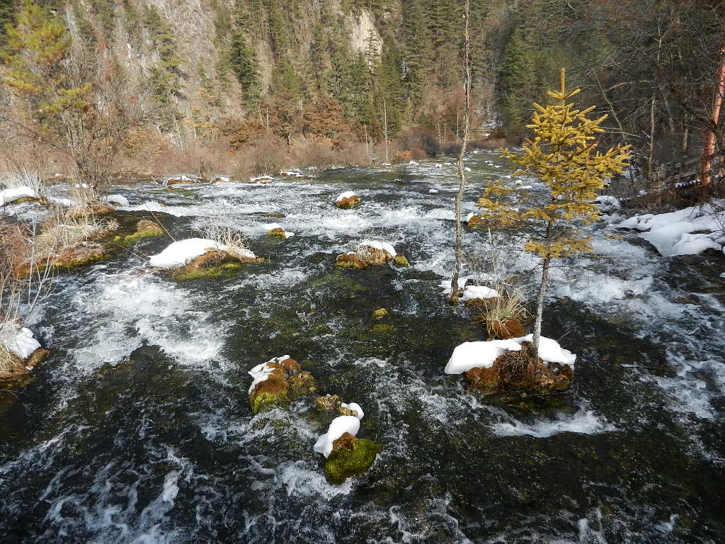 DSCN4668.JPG