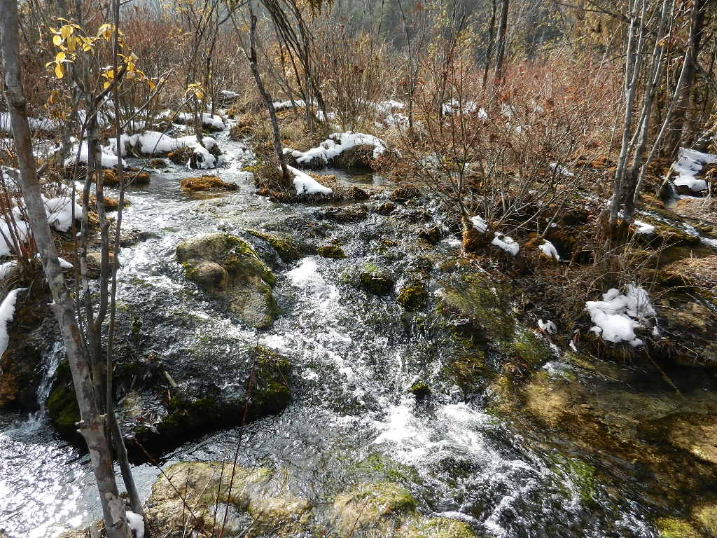 DSCN4673.JPG
