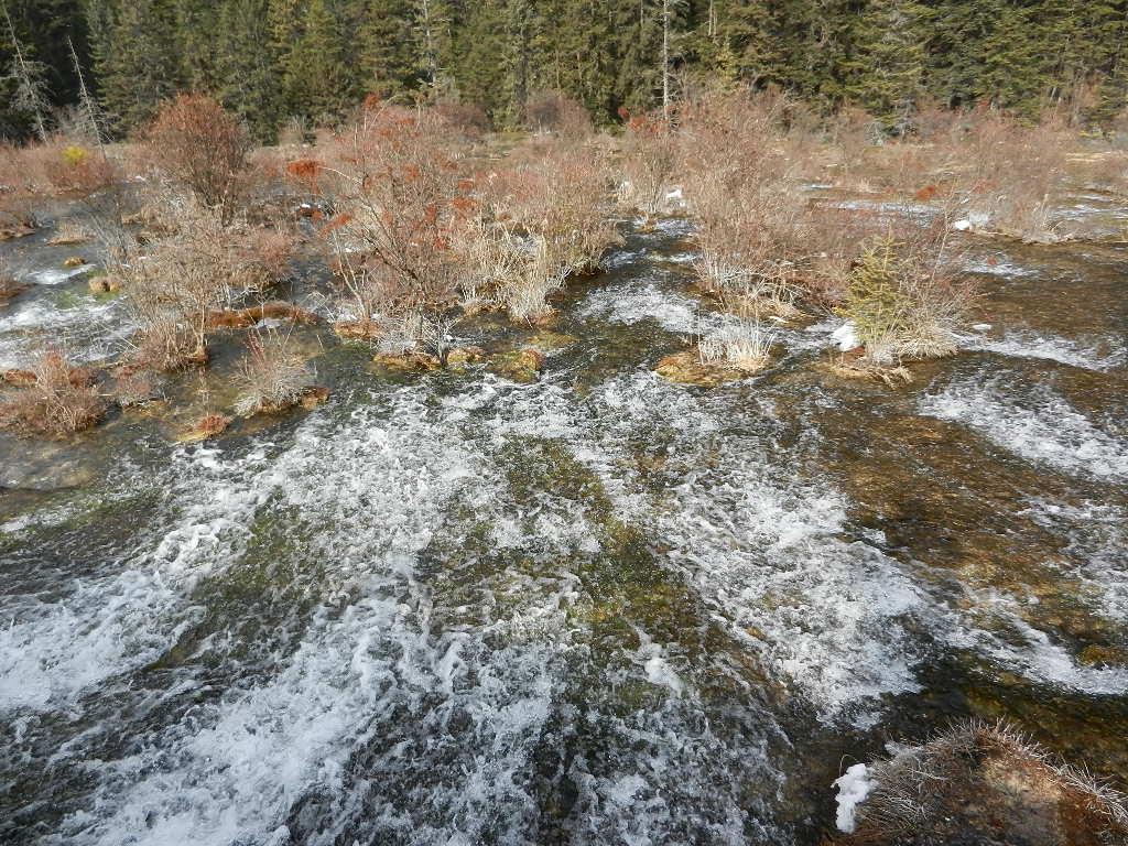 DSCN4676.JPG