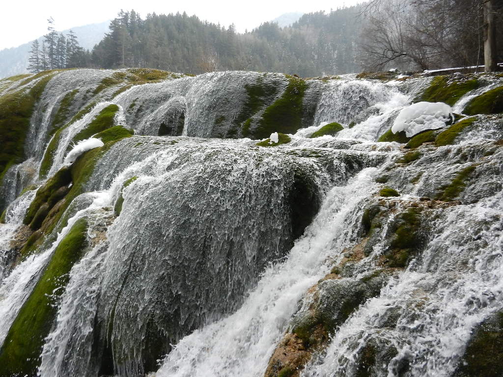 DSCN4693.JPG