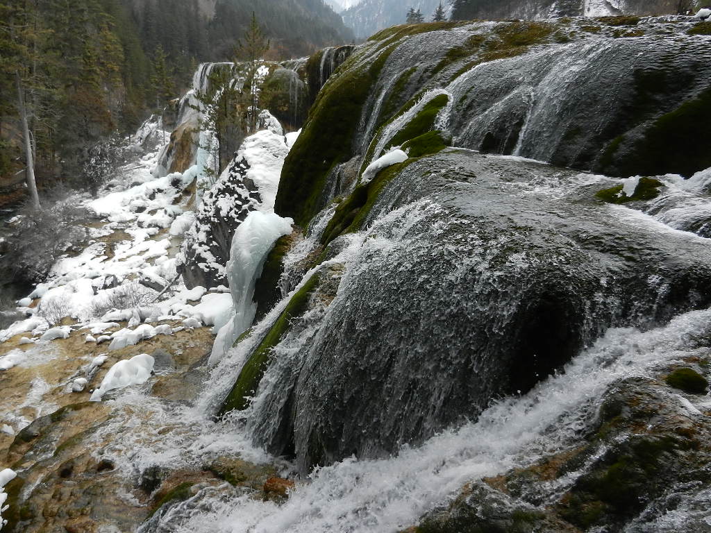 DSCN4695.JPG