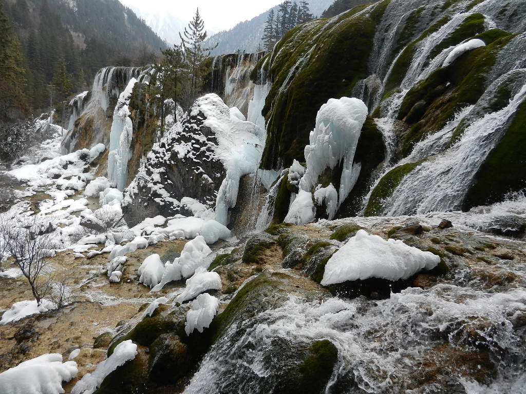 DSCN4696.JPG