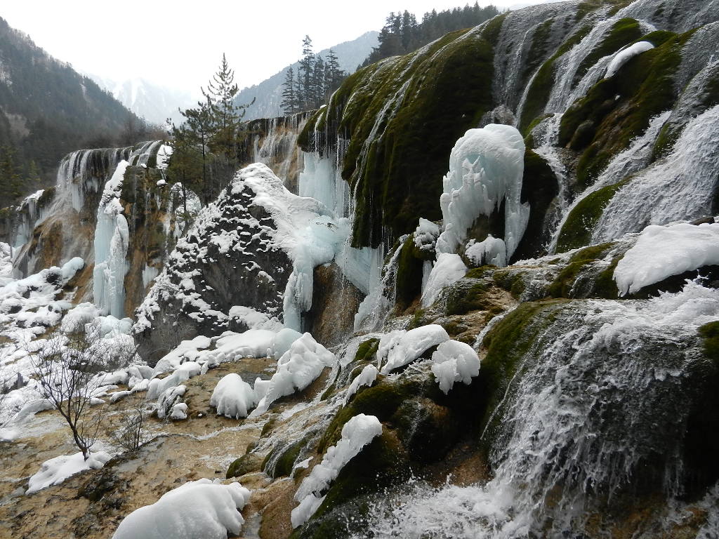DSCN4699.JPG