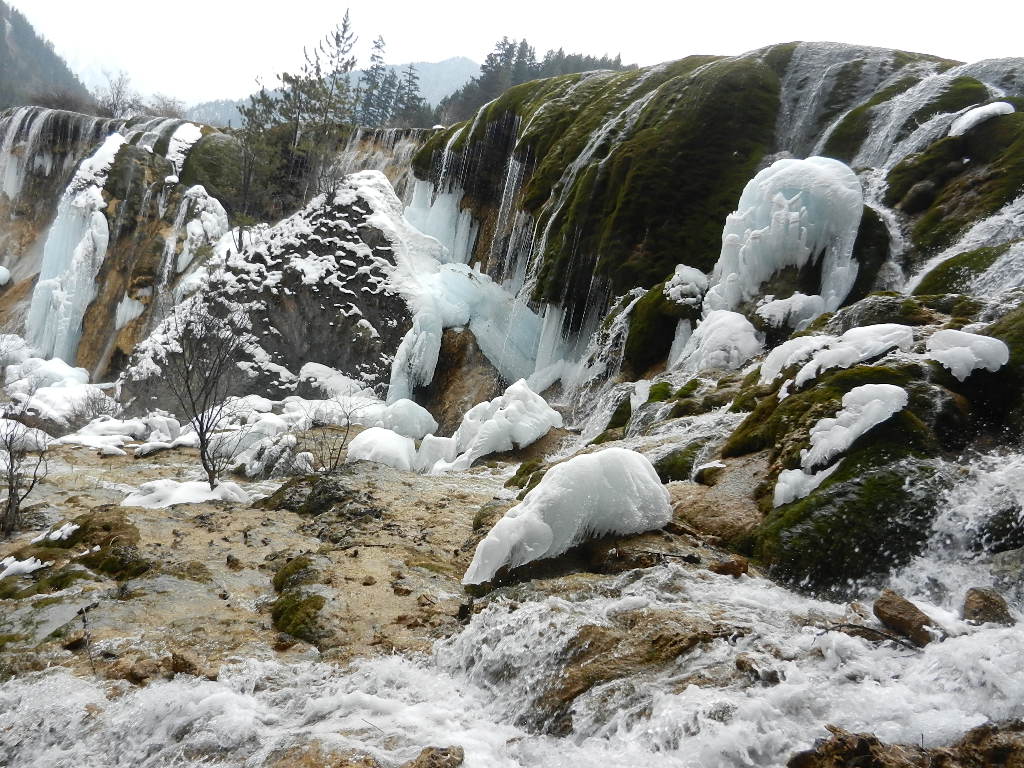 DSCN4700.JPG