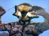 8 音波怪人 貝魯星人.jpg