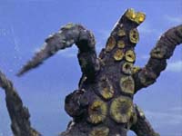 14  章魚怪獸 卡路士.jpg