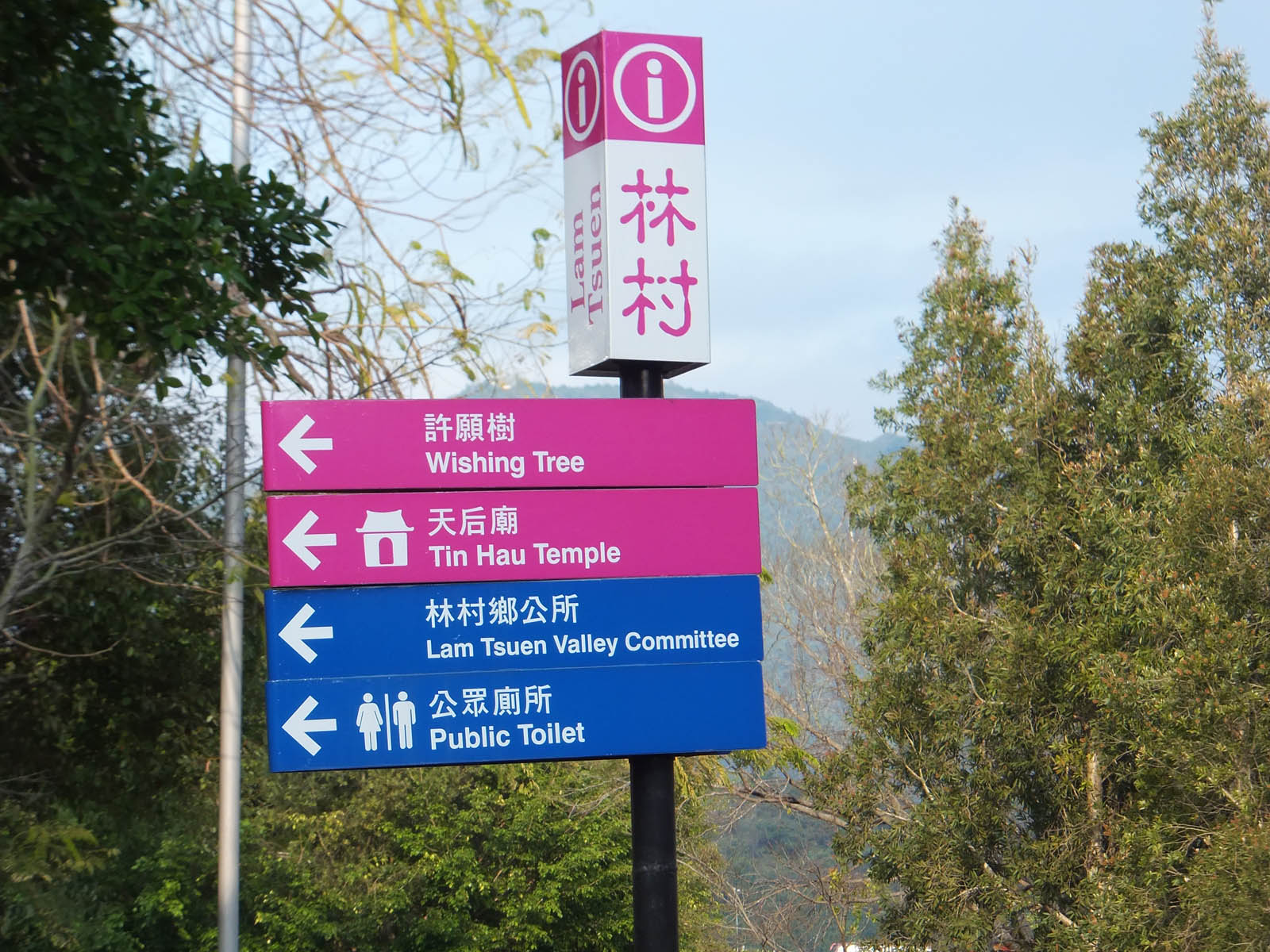 DSCF1172.JPG