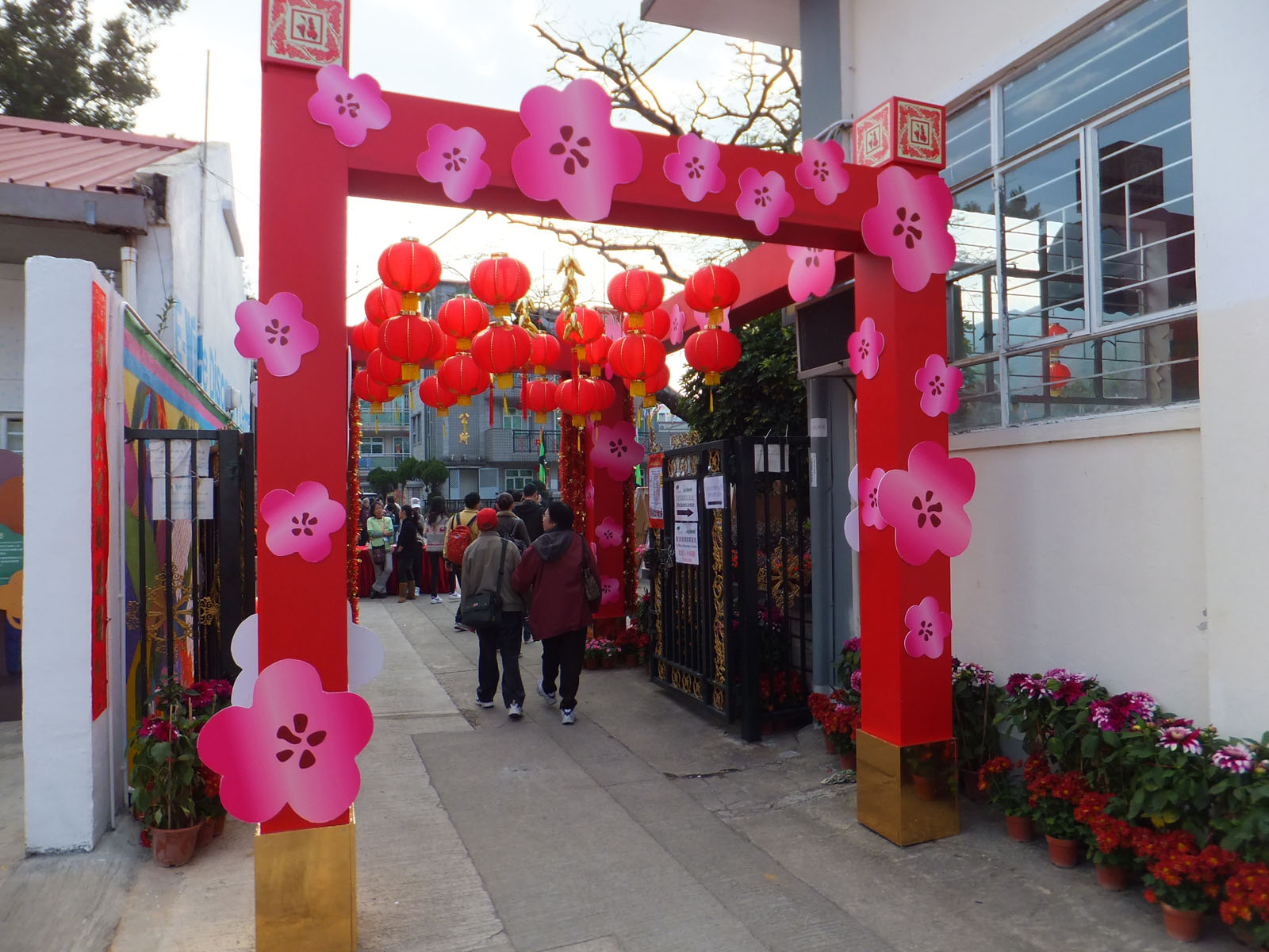 DSCF1253.JPG