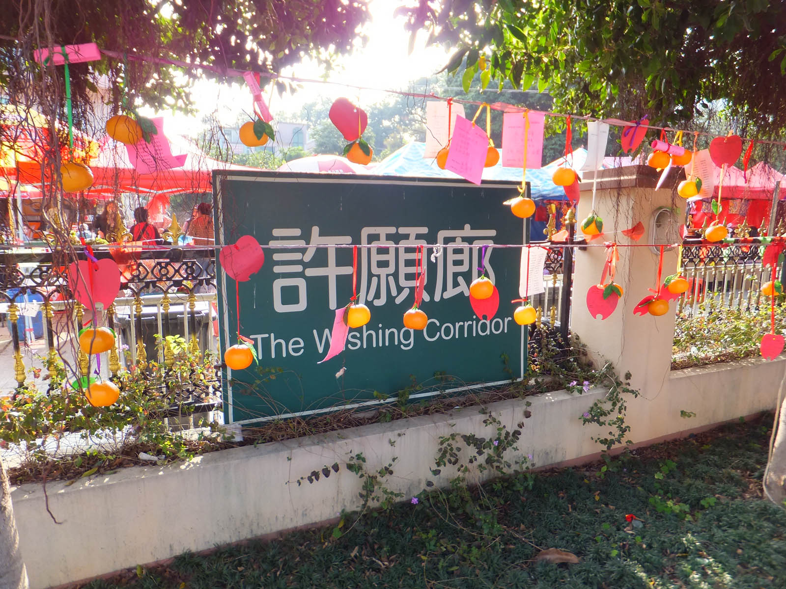 DSCF1298.JPG