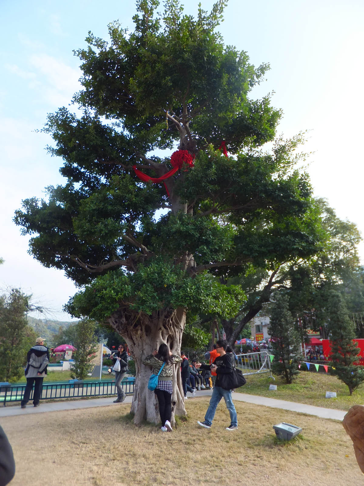 DSCF1322.JPG