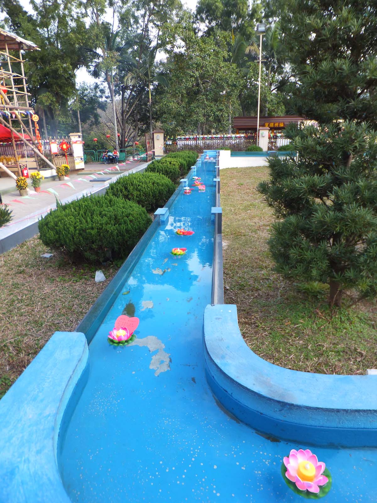 DSCF1314.JPG
