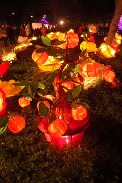 P2050483.JPG