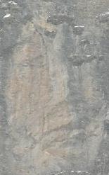 untitled.JPG
